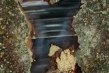Colorful Polished Thunderegg Half - Oregon #328234-1